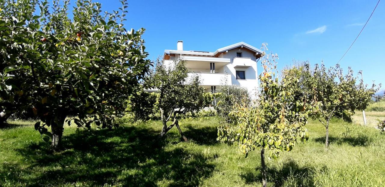 Al Settimo Miglio, Alloggio Agrituristico Villa Treppo Grande ภายนอก รูปภาพ