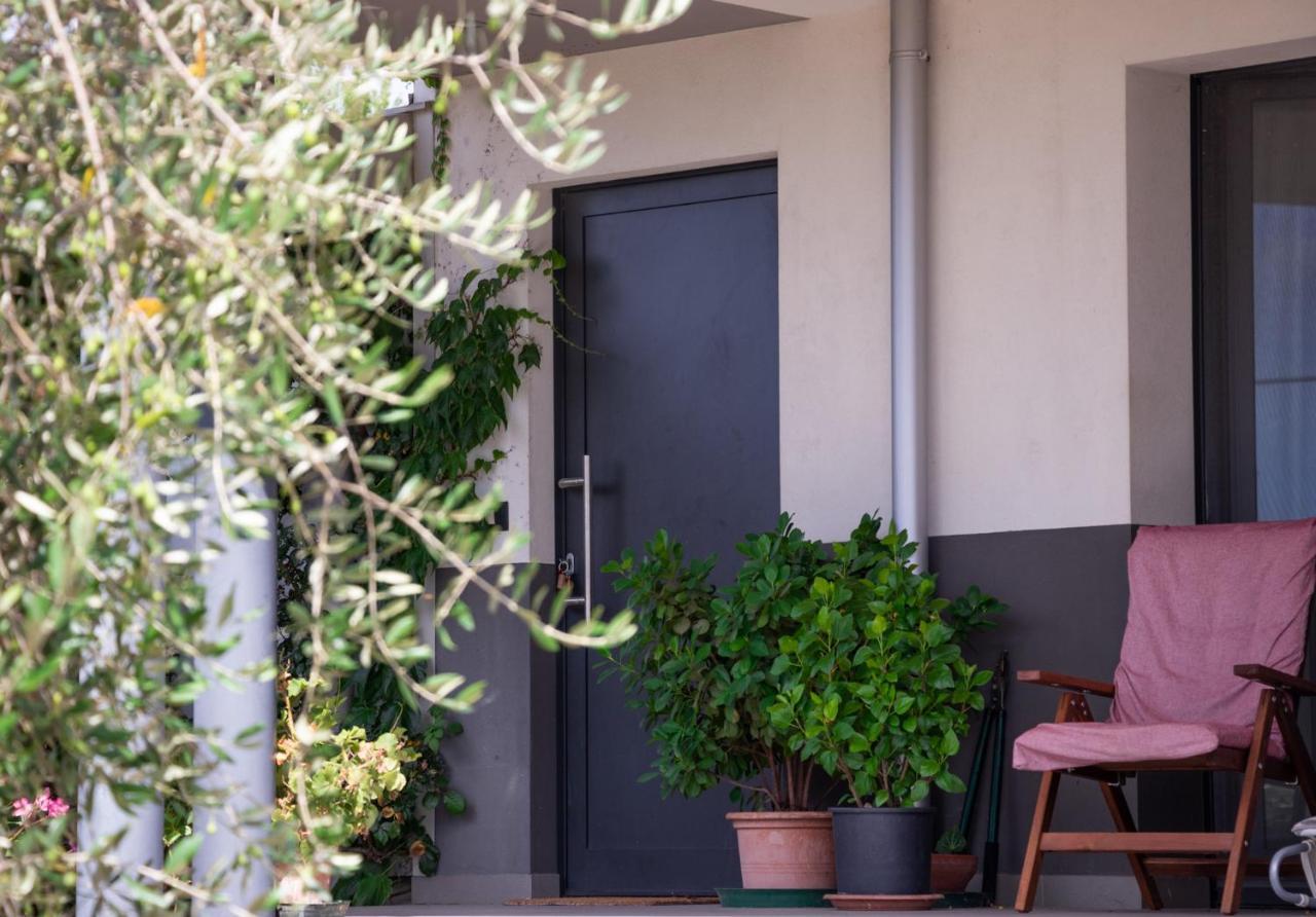 Al Settimo Miglio, Alloggio Agrituristico Villa Treppo Grande ภายนอก รูปภาพ