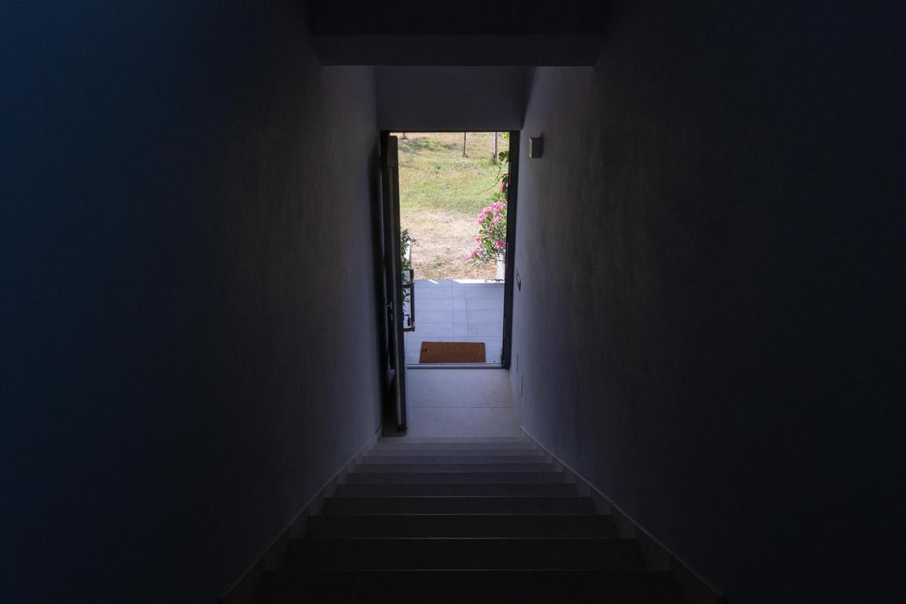 Al Settimo Miglio, Alloggio Agrituristico Villa Treppo Grande ภายนอก รูปภาพ